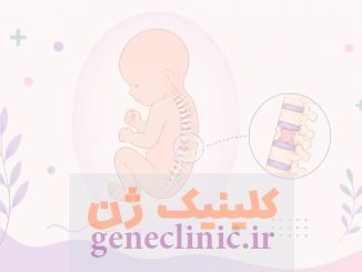 همی ورتبرا یا نیم مهره (Hemivertebra) چیست؟