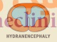 هیدرانسفالی،‏ Hydranencephaly