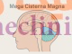 ‏مگاسیسترنا مگنا‏، Megacisterna magna
