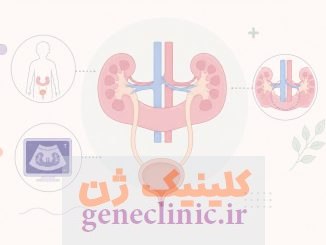 ‏کلیه نعل اسبی‏ (Horseshoe kidney) چیست؟