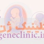 سینوس ادراری تناسلی (Urogenital sinus) سینوس ادراری تناسلی (Urogenital sinus) چیست؟
