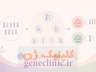آنیوپلوئیدی یا اختلال تعداد کروموزم ها چیست و چگونه ایجاد می‌شود؟