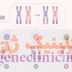 PGT-SR چیست؟ راهنمای جامع آزمایش ژنتیکی پیش از لانهگزینی برای بررسی ناهنجاریهای ساختاری کروموزومی PGT-SR چیست؟