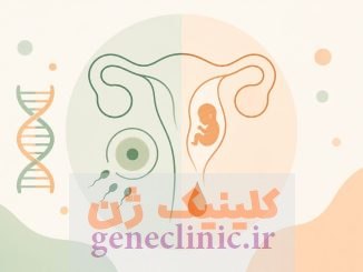 ناباروری و سقط مکرر؛ نقش ژنتیک در تشخیص و درمان