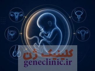 ناهنجاری های دستگاه تناسلی جنین