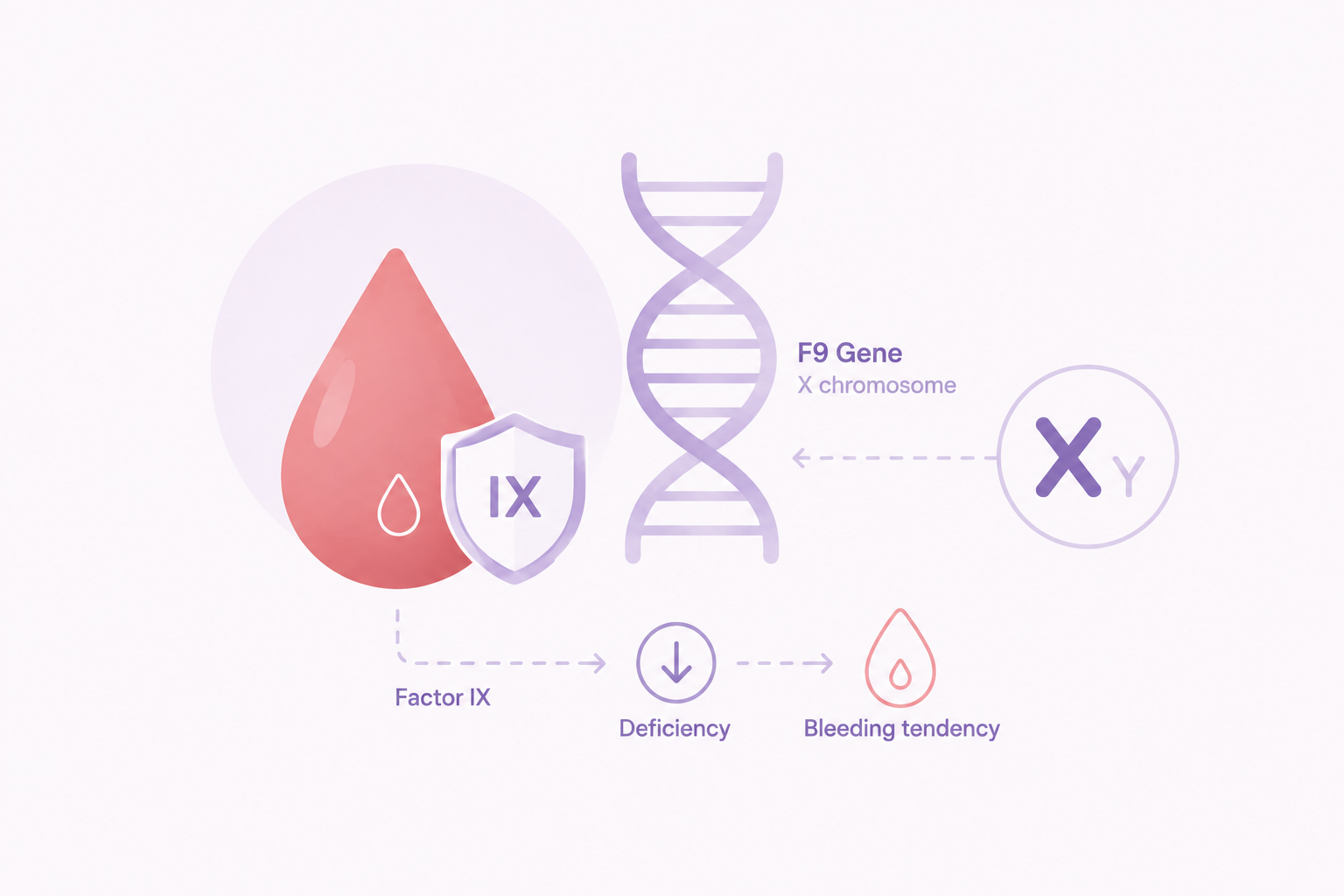هموفیلی ب (Hemophilia B) هموفیلی B یا Hemophilia B چیست؟