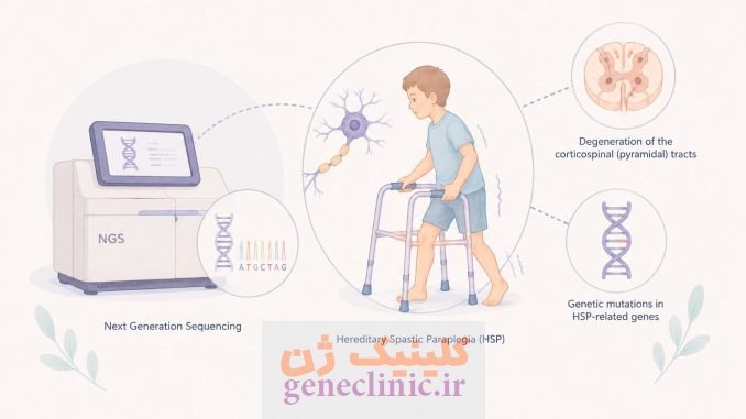 پنل NGS پاراپلژی اسپاستیک ارثی (Hereditary Spastic Paraplegia NGS Panel)