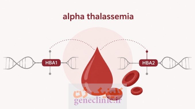 تالاسمی بتا (Beta Thalassemia) چیست؟