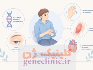 دیستروفی میوتونیک (Myotonic Dystrophy) چیست؟